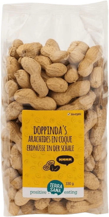 Cacahuetes Grillees Coques BIO